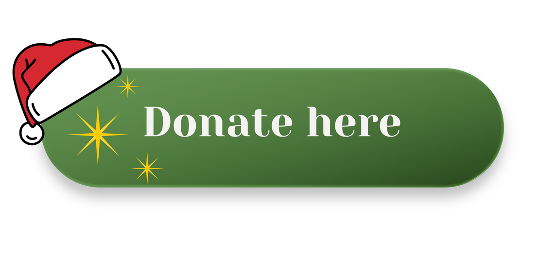 Christmas donate button
